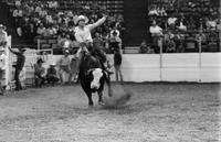 Mike Richard on Bull #75/c