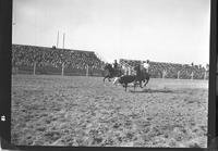 Gordon Davis and Fox O'Callahan Team Roping