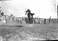 [Unidentified Cowboy riding bronc]