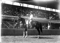 [Unidentified Cowgirl atop horse in arena with grandstand in background]