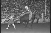 Monty Davis on Bull #76