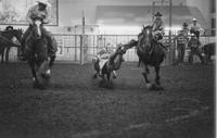 Dave Brock Steer wrestling