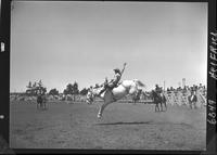 Buck Rutherford on Jodie Blond