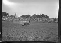 Thomas Romaine Calf Roping