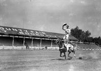 [Unidentified Cowboy doing Slick Saddle Stand with one hand on reins, the other doffing hat]