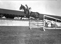 [Unidentified woman on horse jumping over high hurdle]