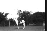 [Possibly Junior Eskew standing on stationary horse spinning a large rope loop above himself]