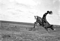 Delbert Bledsow Riding Wild Steer Rocky Ford Roundup