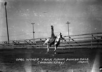 Opal Woods Trick Riding Duncan Okla. Rodeo
