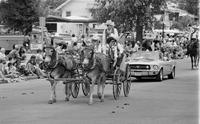 Parade, Horses & Carriage
