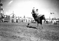 [Unidentified Cowboy riding bareback his legs extended up and out on either side of bronc]