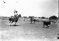 Gov. Ammons Roping Calf, Rocky Ford, Colo.