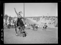 Bill Linderman  Bareback