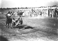 Speedy Densmore Bulldogging Muskogee Rodeo