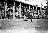 Bobbie Brooks on "Buster" Mandan, Rodeo