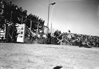 [Unidentified Cowboy in the dirt off bull or steer]