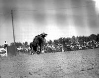 [Unidentified Cowboy leaving off side of bronc]