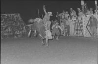 Grant Summers on Bull #4