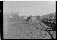 Buck Sorrells Calf Roping