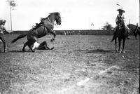 [Bronc rearing up on hind legs near fallen unidentified rider]