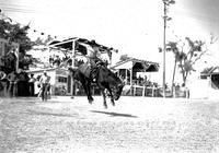 Doff Aber on "Goose Neck" Colo. State Fair Pueblo