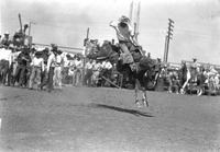 [Unidentified Cowboy riding bronc]