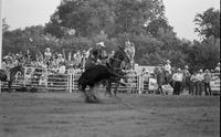 Dan Torricellas Calf roping