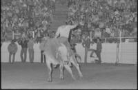 Gilbert Ulibarri on Bull #26