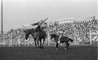 Wayne Herman on Billy Buckskin