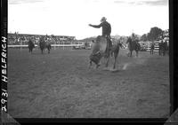 "Unidentified Cowboy Riding Bull"