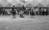 Howard Klingemann Steer wrestling