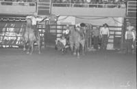 Myron Kunze Steer wrestling