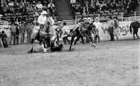 Doug Janke Steer wrestling