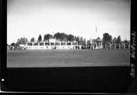 Arena - Bronc Chutes