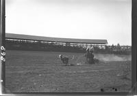 Bert Hinton Calf Roping