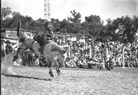 [Unidentified cowgirl riding bronc]