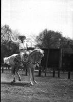 [Possibly Cy Compton raising coiled rope above head with right hand while sitting on horse]