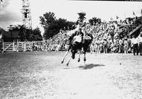 [Possibly Alice Greenough riding bronc]