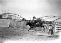 Wild Steer Riding Mid South Fair, Memphis Tenn