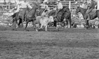 Australia Steer wrestling, 6.1 Sec