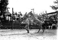Tom Hunt & "May West" Bob Follett Rodeo