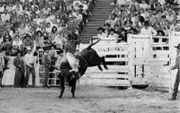 Greg Griffin on Bandit