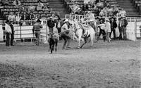 Leslie Jenkins Calf roping