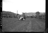 Charlie Colbert Steer Wrestling