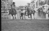 Chris Lybbert Steer wrestling