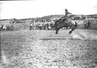 Bob Boden on "Spider" Midland Empire Fair & Rodeo