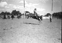 [Alvin Gordon riding and staying with his bronc "Golden Fan"]