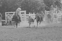 Gary Green Steer wrestling