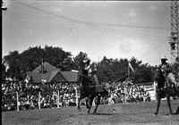 [Unidentified Cowboy atop stationary horse and throwing rope loop around passing rider]