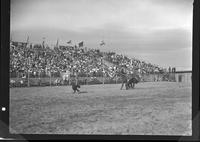 Clay Carr Calf Roping